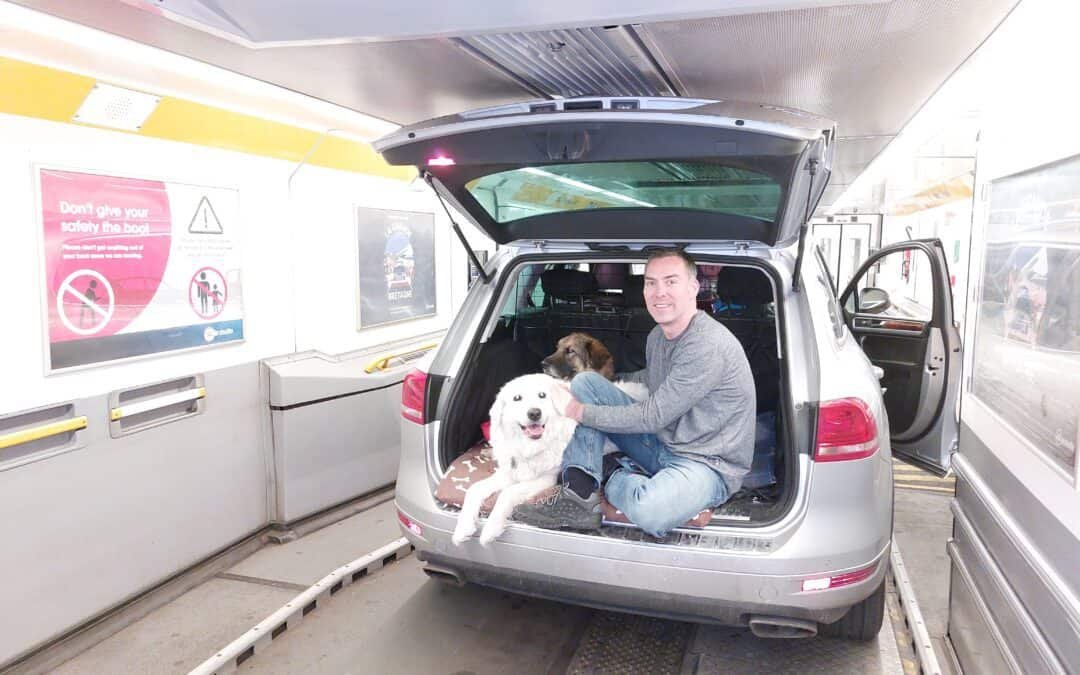 Travelling With Dogs