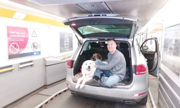 Travelling With Dogs
