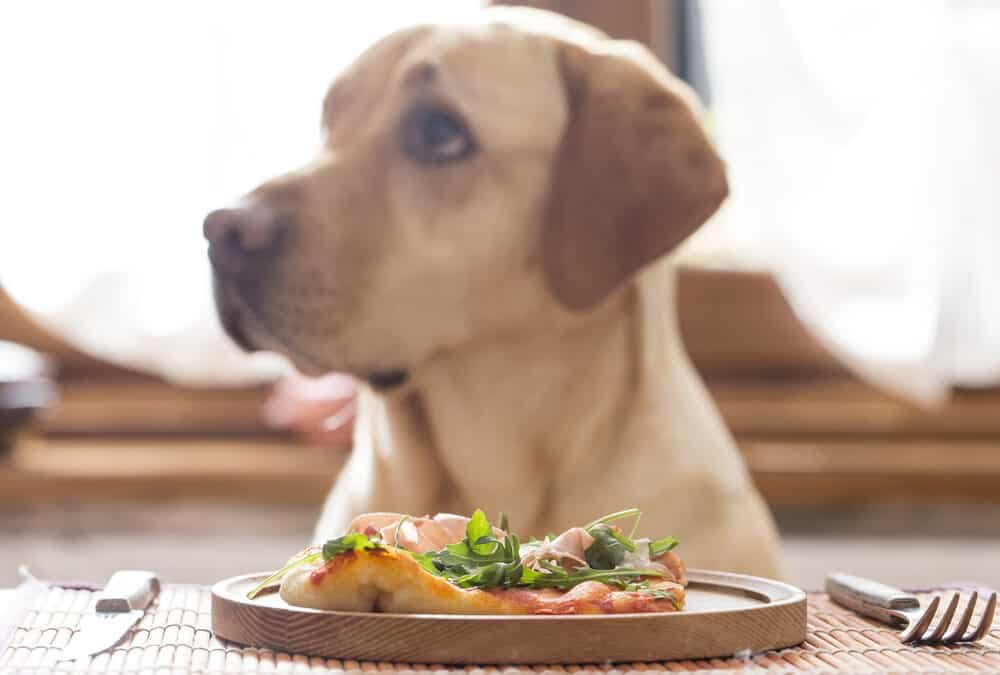 Diet and Nutrition