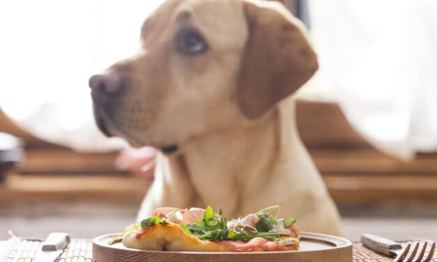 Diet and Nutrition