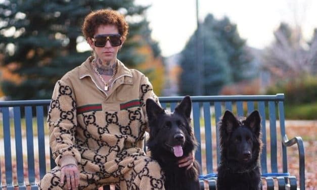 Dog Daddy – Is It Shocking Dog Abuse?