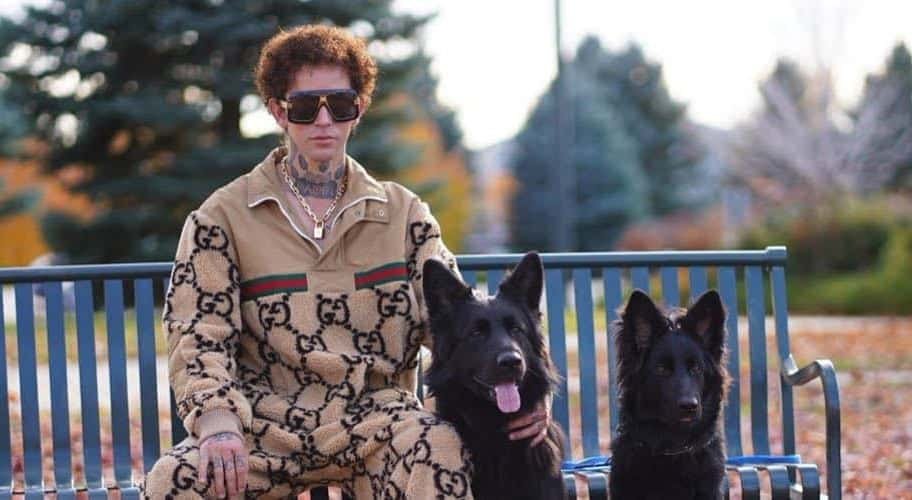 Dog Daddy – Is It Shocking Dog Abuse?